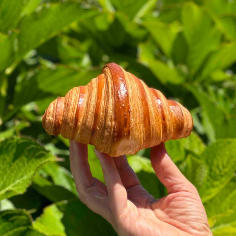 🛒 Croissant Folhado